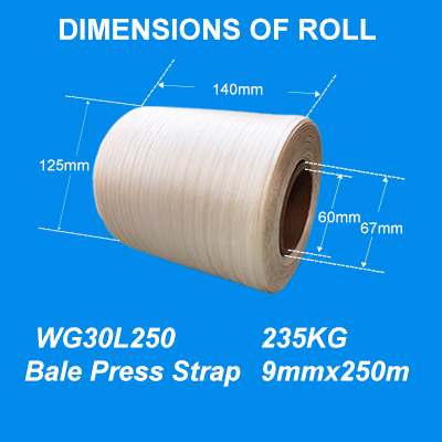 Polyester Banding Strapping